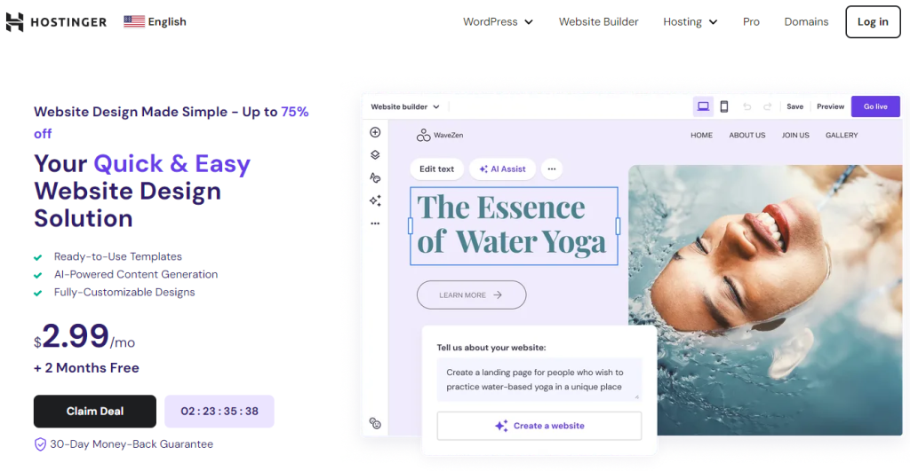 Hostinger Design Solution landing page 
